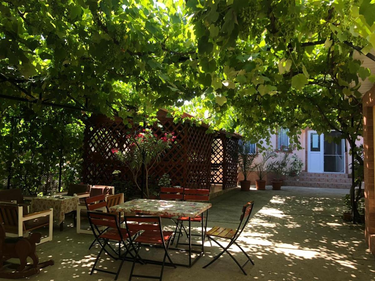 קוסטינסטי Casa Dasoveanu מראה חיצוני תמונה